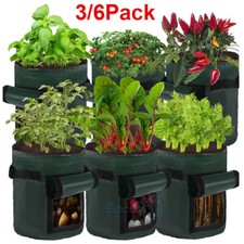 3 6 Pack Potato Grow Bags 10