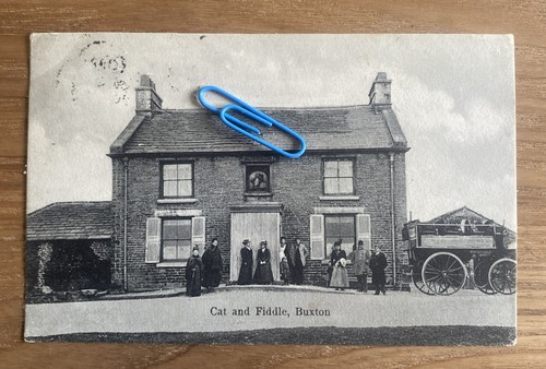 Cat and fiddle - cat,