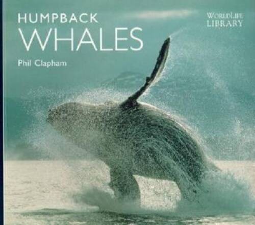 Humpback whales worldlife - whales, (worldlife