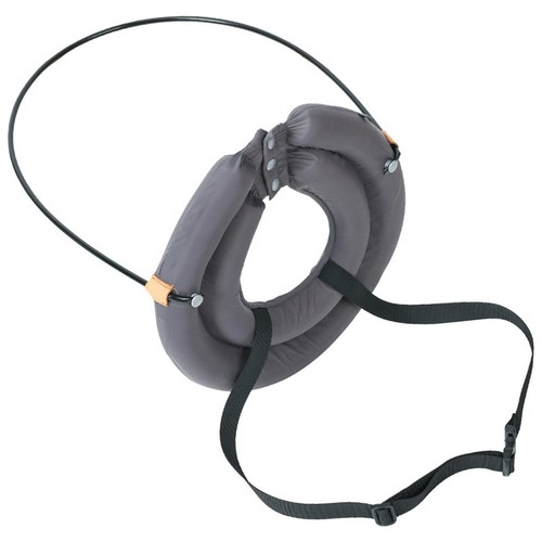Blind dog harness guiding - blind,