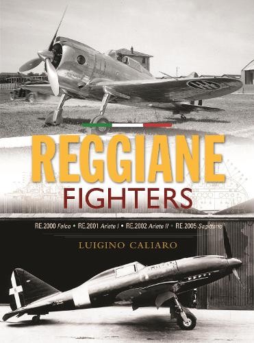 Reggiane fighters luigino - by,