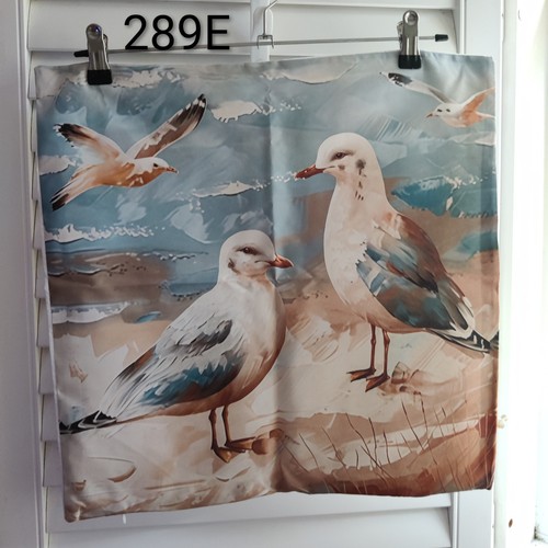 Seagulls beach summer soft - summer,