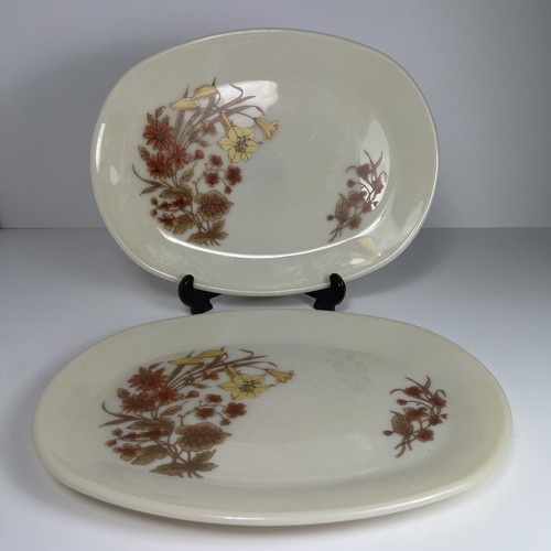 Pyrex harvest spray 2 - -, x