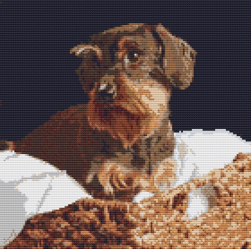 Bearded dachshund sausage - sausage, dog
