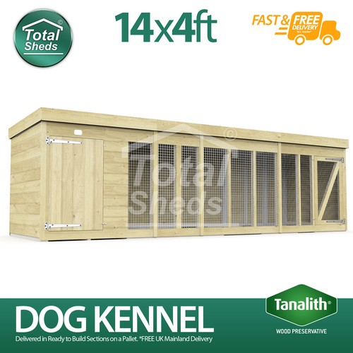 Dog kennel run - dog,