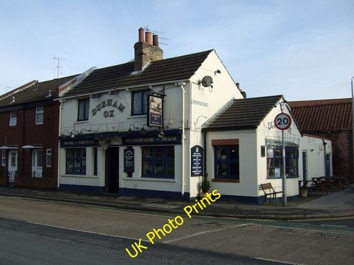 Photo 6x4 the durham - 6x4, ox