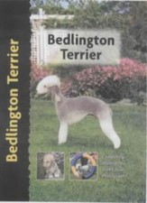 Bedlington Terrier (Pet