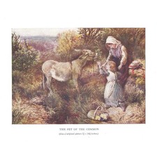 MYLES BIRKET FOSTER The Pet of