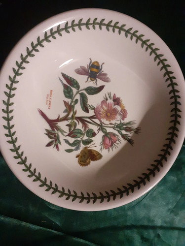 Vintage portmeirion botanic - vintage,
