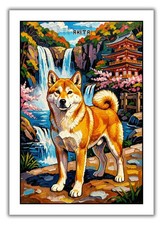 Akita A4 vibrant coloured