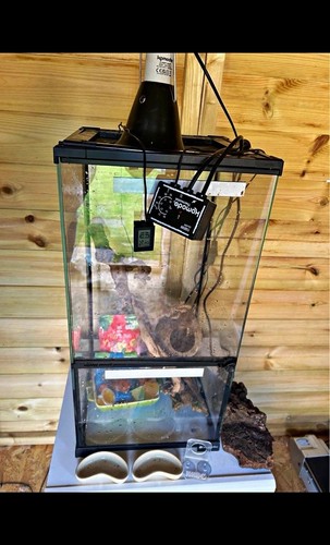 Glass reptile vivarium - glass,