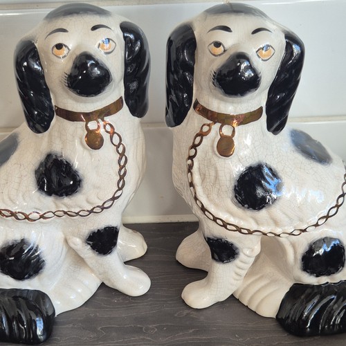 Pair staffordshire dogs - staffordshire,