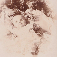 Victorian Cabinet Card Photo Post Mortem Baby Fincham West Dulwich