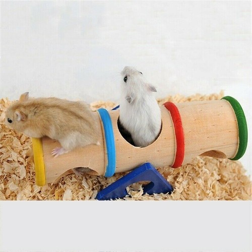 Hamster tunnel tube wooden - hamster,