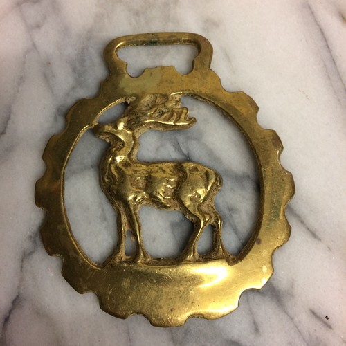 Vintage cast horse brass - vintage,