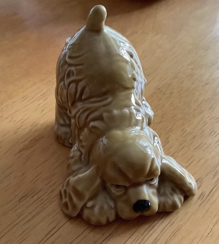 Wade spaniel amber - wade,