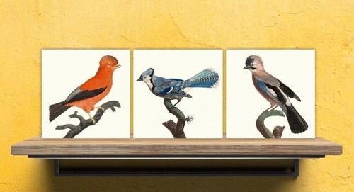 Vintage bird print ceramic - bird,