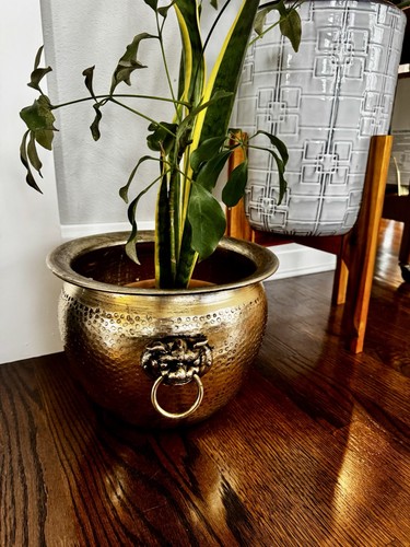 Vintage foo dog planter - vintage,