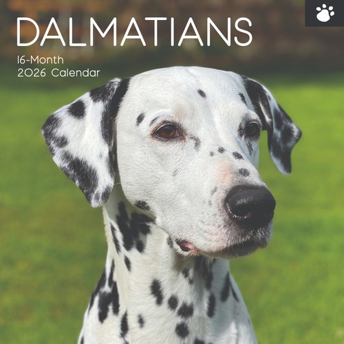 Dalmatian dog x 12 - "12,