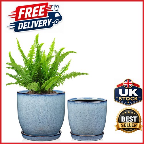 Indoor ceramic planter set - ceramic,