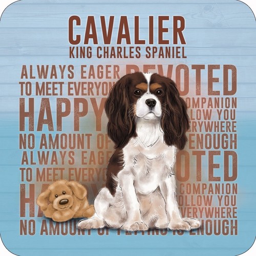 Cavalier king charles spaniel - cavalier,
