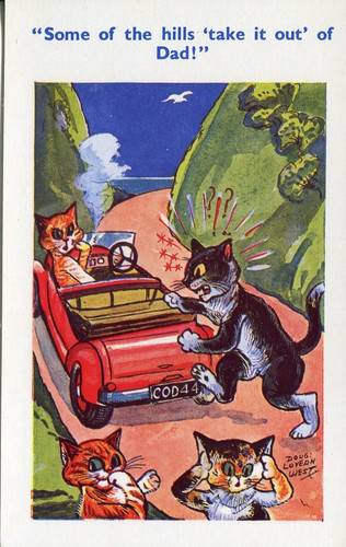 Cats motoring car steep hill
