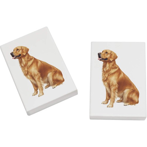 Golden retriever dog - 2, 'golden