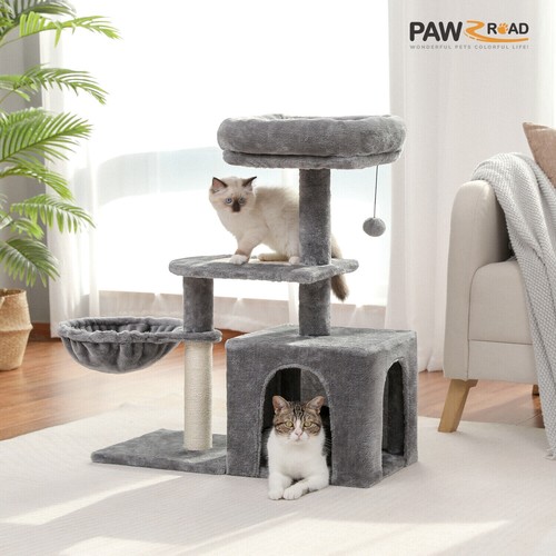 Pawz road cat - pawz, tree