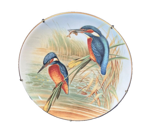 Coalport kingfisher plate - kingfisher, john