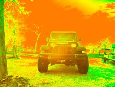 Infrared converted Camera