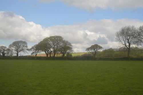 Photo 6x4 pasture land - photo,