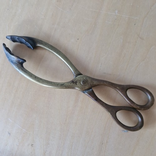 Antique coal fire - fire, tongs