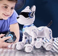 Ziggy the Robo Dog RC & Voice