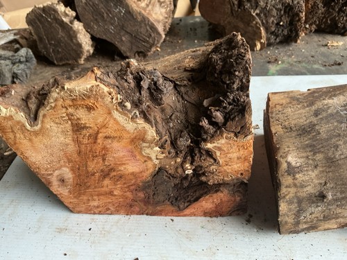 Yew block well seasoned - yew,