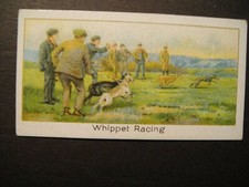  BOGUSLAVSKY TURF CIGARETTES SPORTS RECORDS WHIPPET RACING COUNTRY SPORTS 