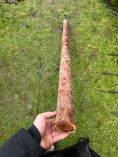 PACIFIC YEW Bow
