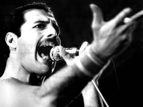 Freddie mercury photo - freddie, on