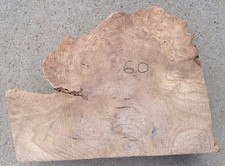 Timber Scottish Burr Elm Blank