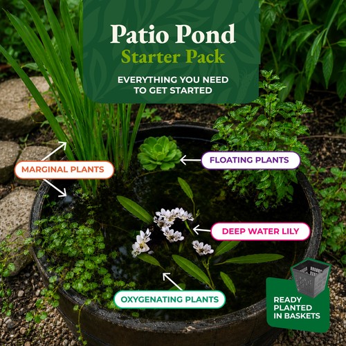 Patio pond starter pack barrel - starter,