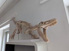 Rex skeleton fossil kit - t,