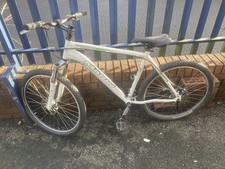 Marin California Shoreline