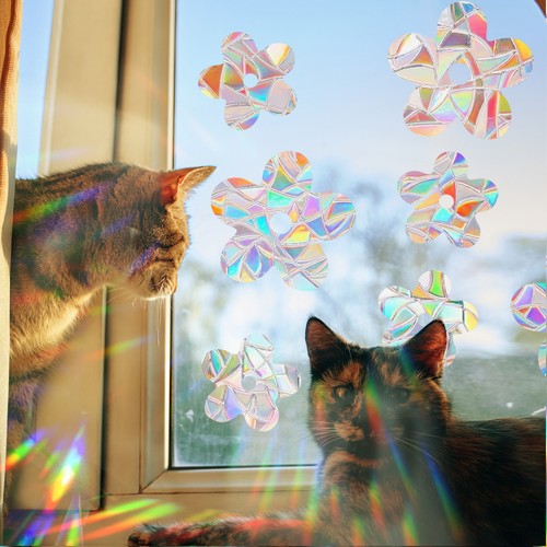 Window privacy film - window,