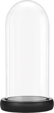 Glass Tall Cloche Dome with