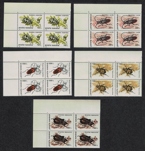 Romania beetles 1st - romania,