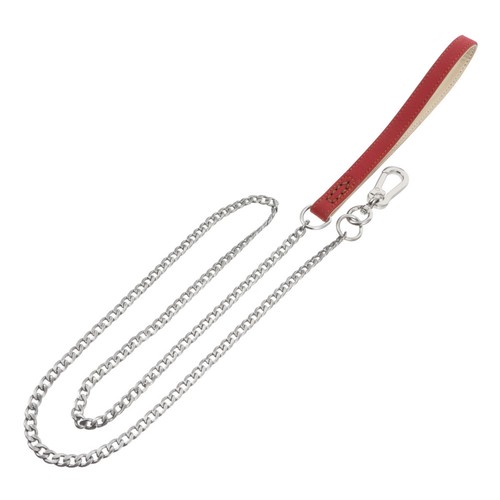Metal dog leash - dog, pet