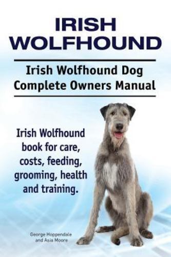 Irish wolfhound - irish,