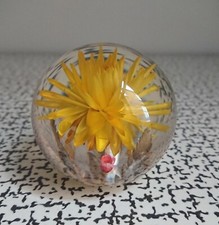 60s Vintage Retro Hippocampus