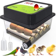 OBI-12 Automatic Egg Incubator