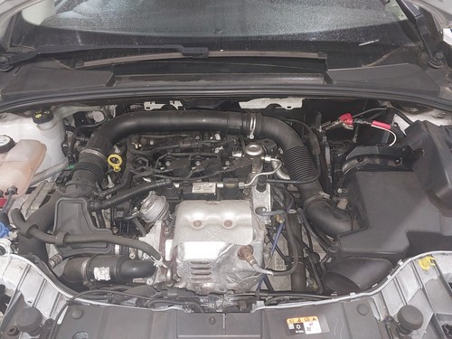 Engine ford focus mk3 - engine, fl