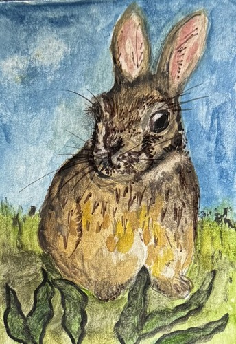 Aceo original watercolour - original,